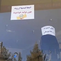 تولیدی پوشاک سایز بزرگ شب کوک