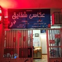 عکاسی شقایق
