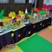 پیش دبستانی میثم