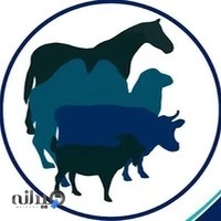 کلینیک و داروخانه دکترافشاری