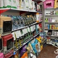 کلینیک دامپزشکی نبض