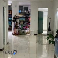 کلینیک حیوانات خانگی نیشام