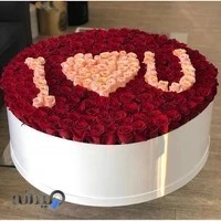 پخش گل اميری