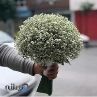 گالری گل لیندا