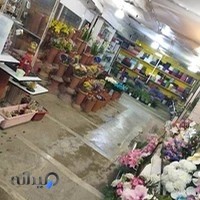 گلفروشی نسیم