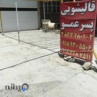 قالیشویی پسرعمو