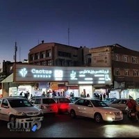 موبایل کاکتوس