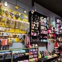 اکسسوری لئون