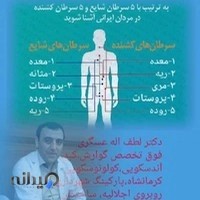 مطب دکتر لطف اله عسگری. فوق تخصص گوارش،کبد،آندوسکوپی و کولونوسکوپی