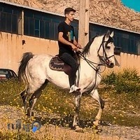 باشگاه سوارکاری حاتمی