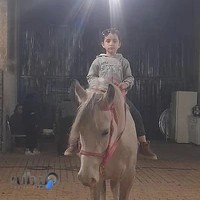 باشگاه سوارکاری بردیا