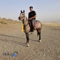 باشگاه سوارکاری فرازدارایی1