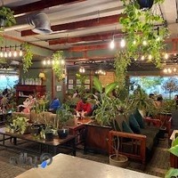 کافه و سینما پاز