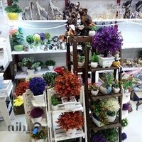 کادویی نیایش