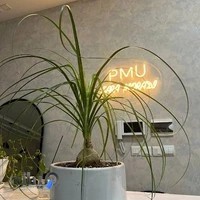 سالن ارایشی سارا مرادی