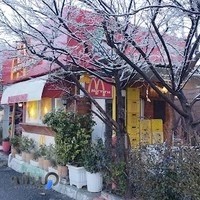 مروارید زاپاتا