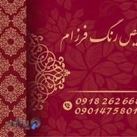 تشخیص رنگ فرزام