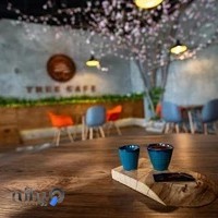 کافه درختی