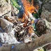 آژانس مسافرتی اردیبهشت