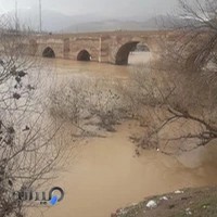 بیمه میهن نمایندگی فخری