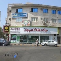 چای رفاه لاهیجان