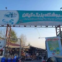 پخش پلاسکو و لوازم آشپزخانه