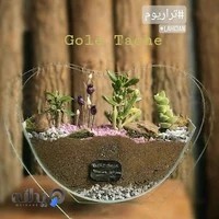 گلفروشی "تاچه" "Tache"