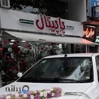 شهرگل پاپیتال