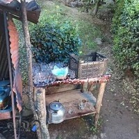 رستوران خاله مرضیه