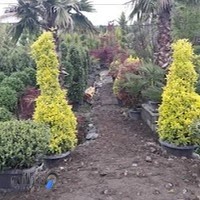 گل و گیاه ایران سبز