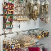 کلینیک تخصصی پرندگان بوتیمار