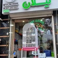 پتشاپ طوطی گیلان