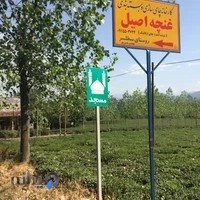 گروه مشاورین املاک کیومرثی