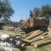 چوب فروشی جلال نصیری