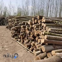 چوب فروشی افرا (مسعود نژاد علی)