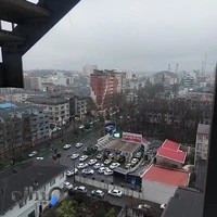 Golsar translation office