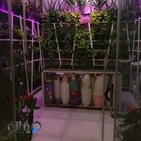 کلینیک گیاه و گلخانه شیرگل