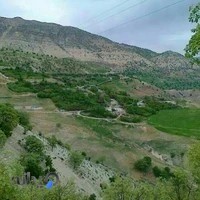 شرکت همسفر حاجی کمال