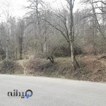 کافه رستوران شیرازی