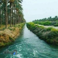 کافی نت و خدمات کامپیوتری متین