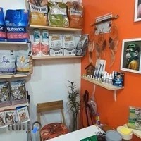 پت شاپ پانی پت