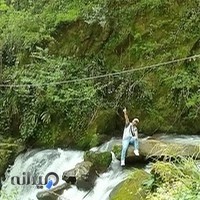 ام دی اف و چوب ایران