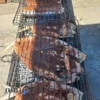 کبابی و جگرکی اقا مسعود