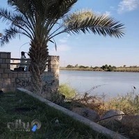 پارک گردشگری شجرات