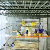 پارک کوی فرهنگیان