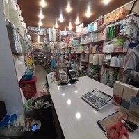 ظروف یکبار مصرف وپلاسکو پنگوئن