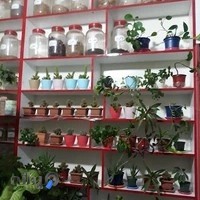 عطاری شارعی