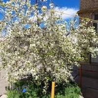 اداره کل دامپزشکی استان