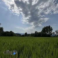 مجتمع خدماتی قنبری (قالیشویی، کارواش، باربری)