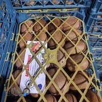 سردخانه و سورتینگ گروه بازرگانی زرین بال آستارا، آنام فروت(ANAM FRUIT) (فتح الهی )